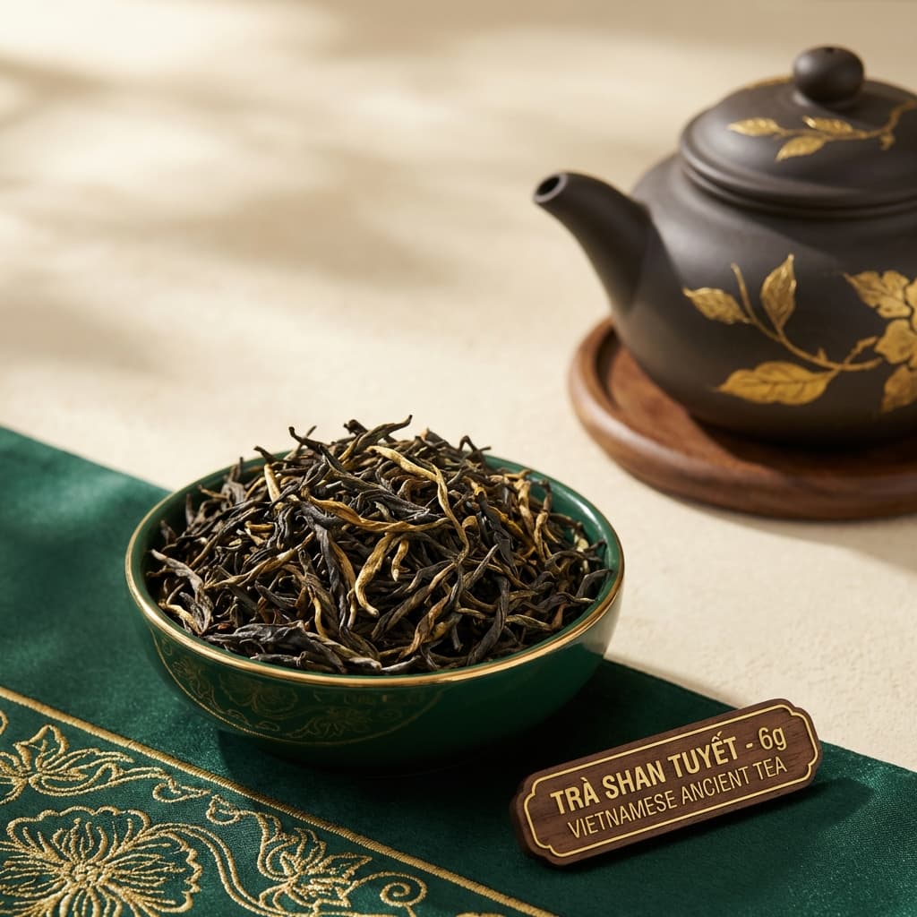 Shan Tuyết Cổ Thụ